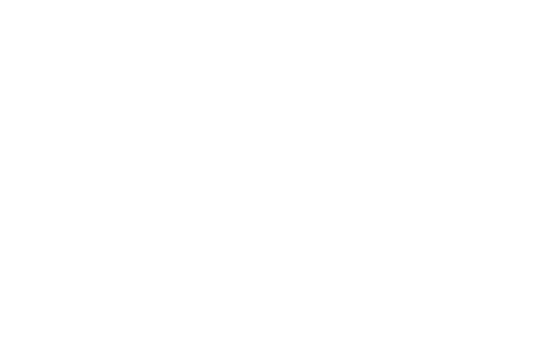 Universidad